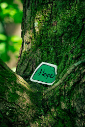Picture of a tree with word hope